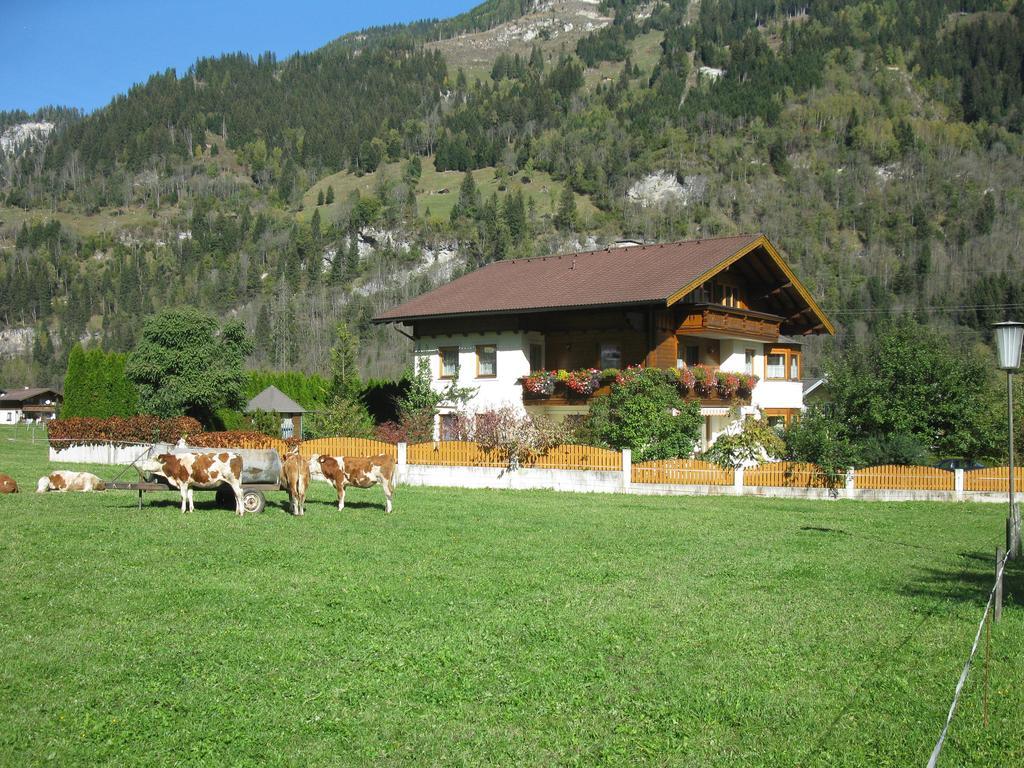 Haus Schoenegger Lägenhet Dorfgastein Exteriör bild